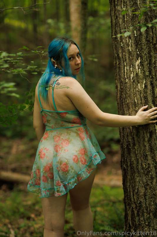 Come follow me. 🌳🧚‍♀️