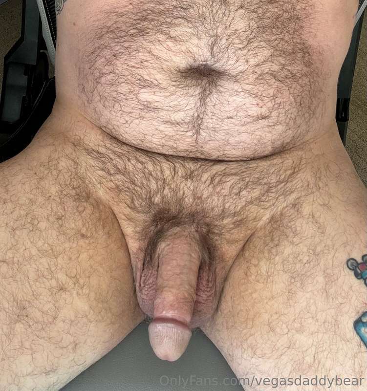 vegasdaddybear image #0