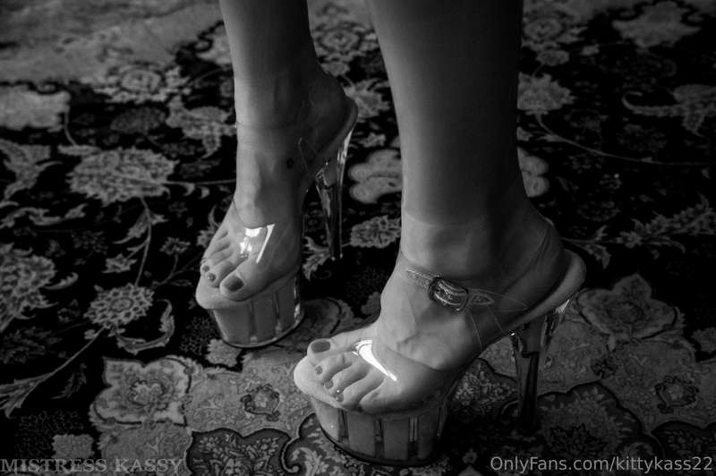 kittykass22 image #0