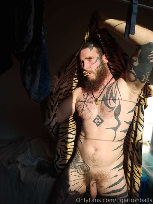 Tiger Ironballs Nude Leaked OnlyFans Photo