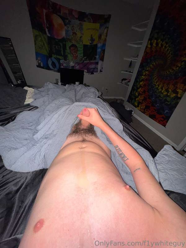 Should I start posting loads of the day?