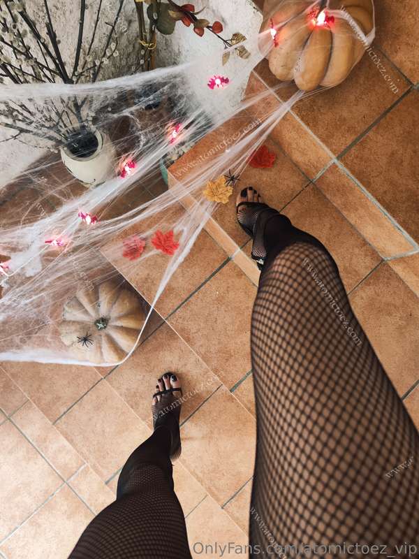 Spooky season means pics with pumpkins and webs 🎃🕸️
