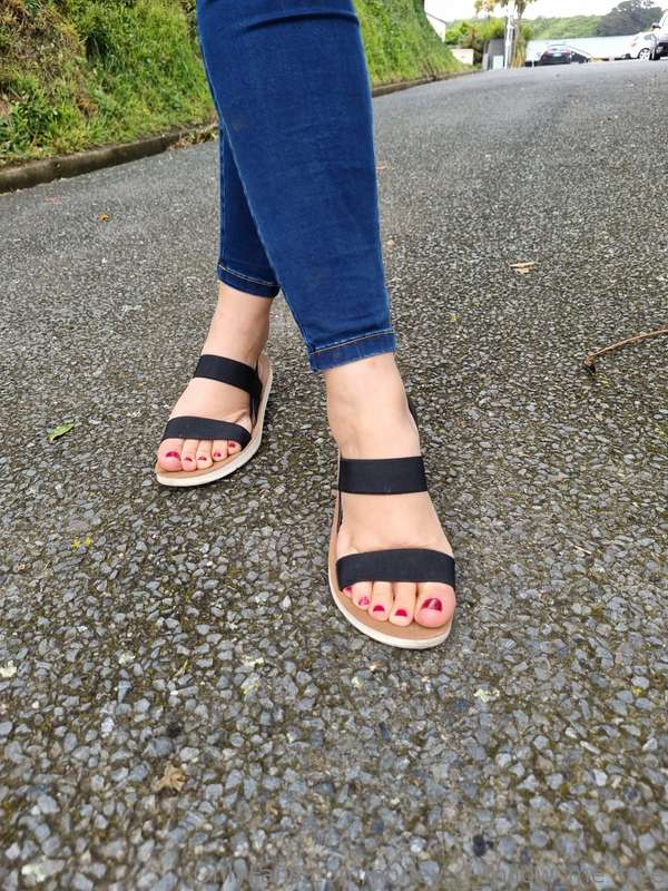 honey_d_follow_me_free