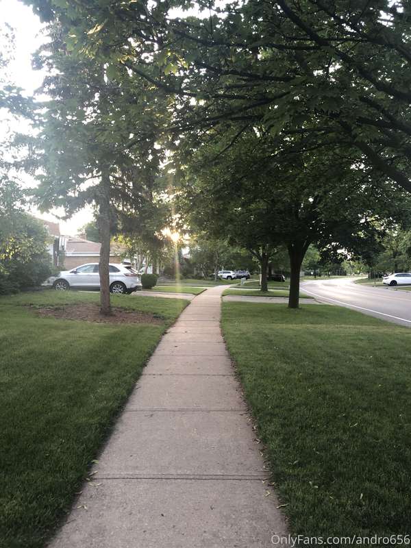 andro656 image #0