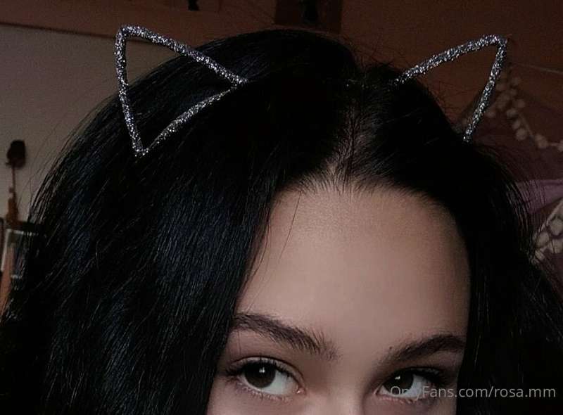 kitty