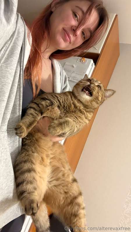 Cats our friends and companions, they bring joy and teach un..