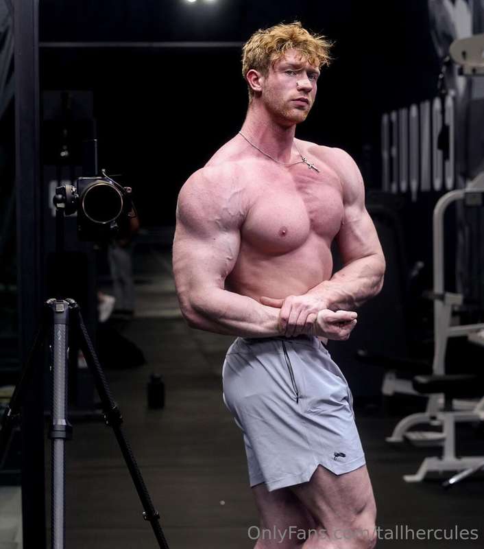 tallhercules