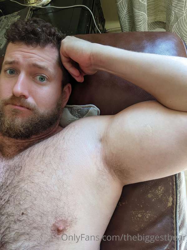 thebiggestbear
