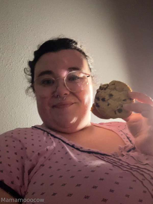 i’m obsessed with these ice cream cookie sandwiches! the gas..