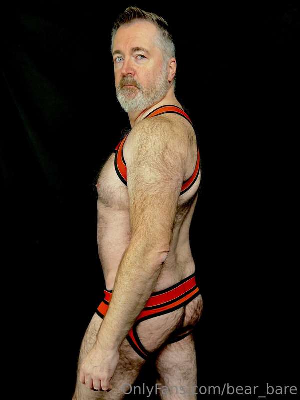 bear_bare image #0