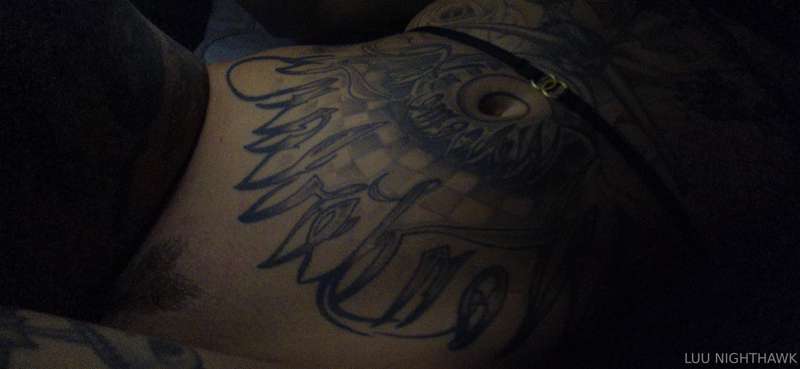 luu_nighthawk