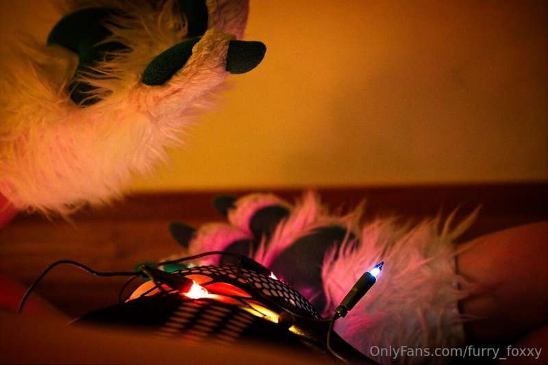 furry_foxxy