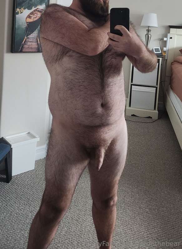 gordothebear