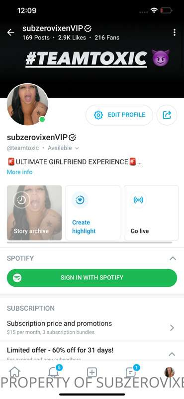 subzerovixen