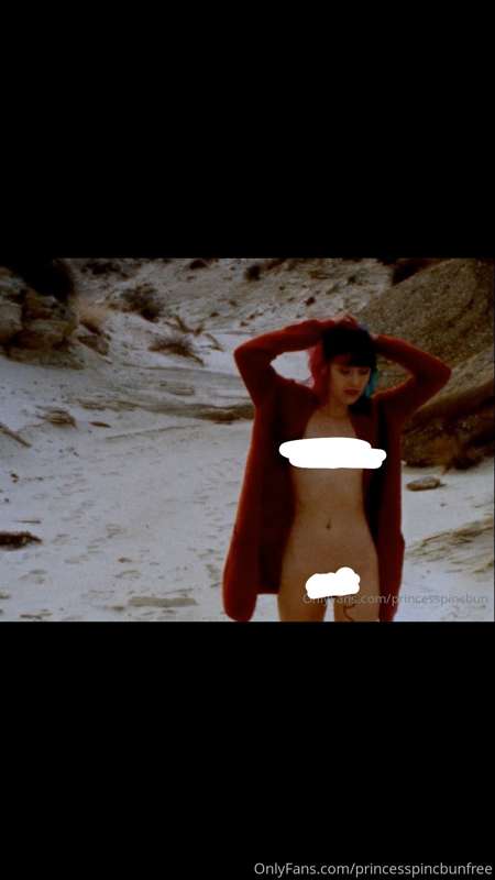 princesspincbunfree