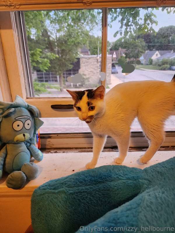 🎉🥳Suprise!!!🥳🎉 Please welcome monkey to the Hellbourne famil..