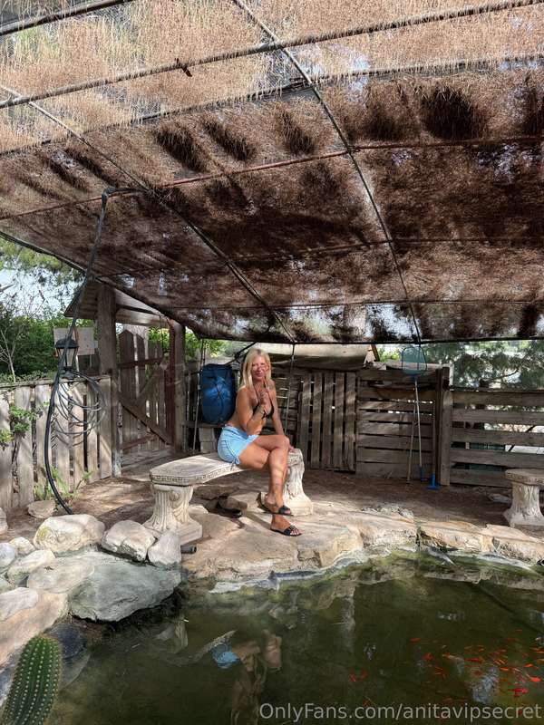 anitavipsecret