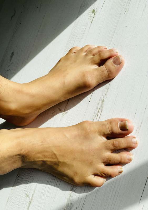 media