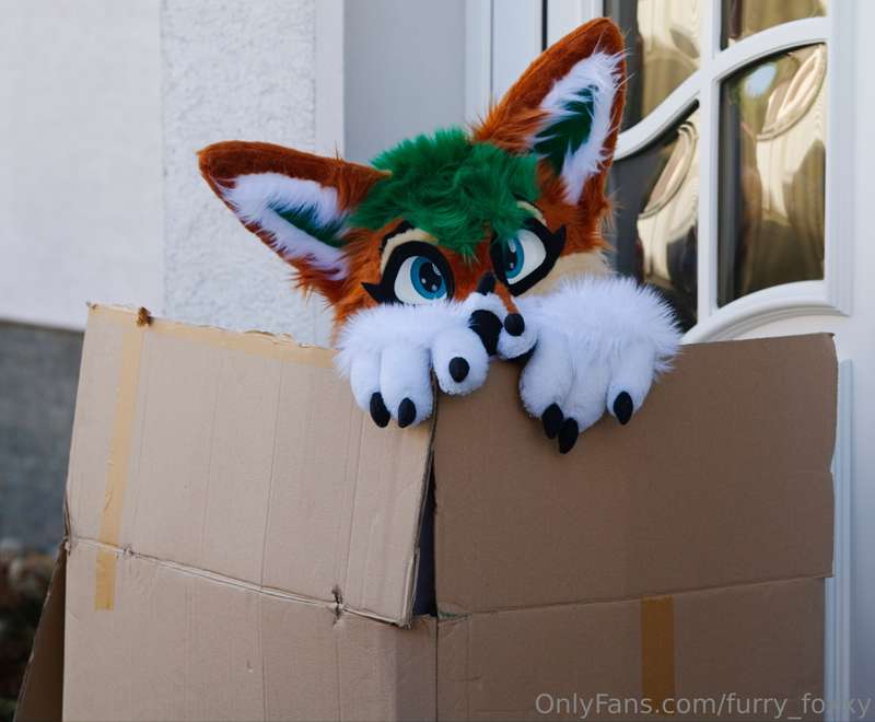 furry_foxxy