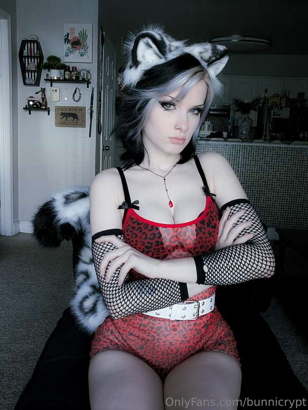 bunnicrypt image #8
