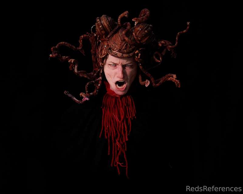 To Perseus... slayer of so-called monsters. Seek sanctuary w..