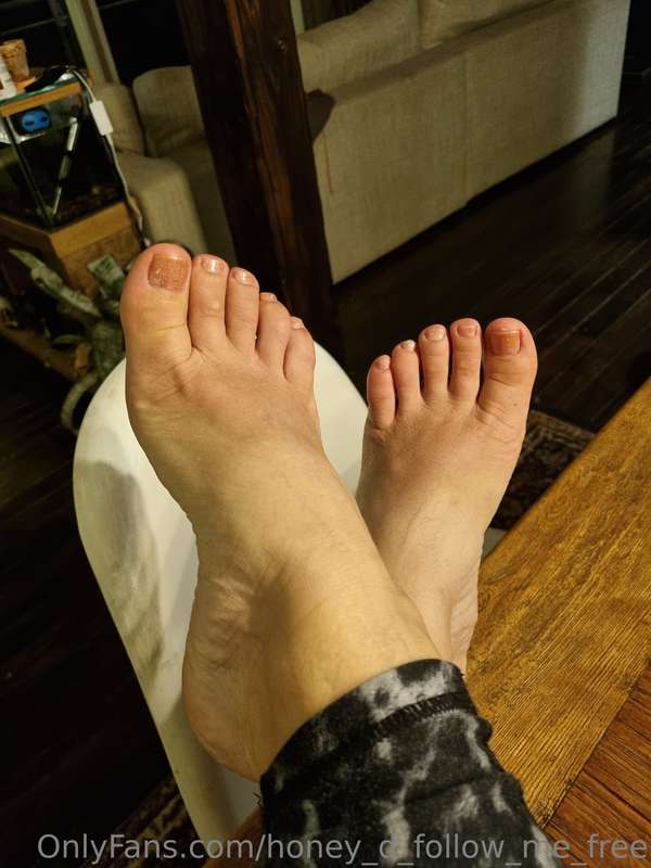 honey_d_follow_me_free