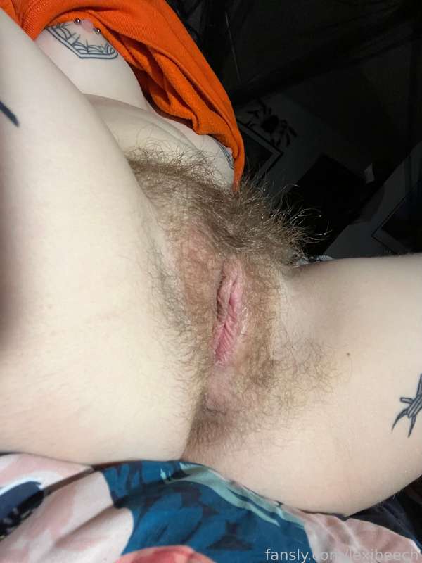 lexibeech image #3