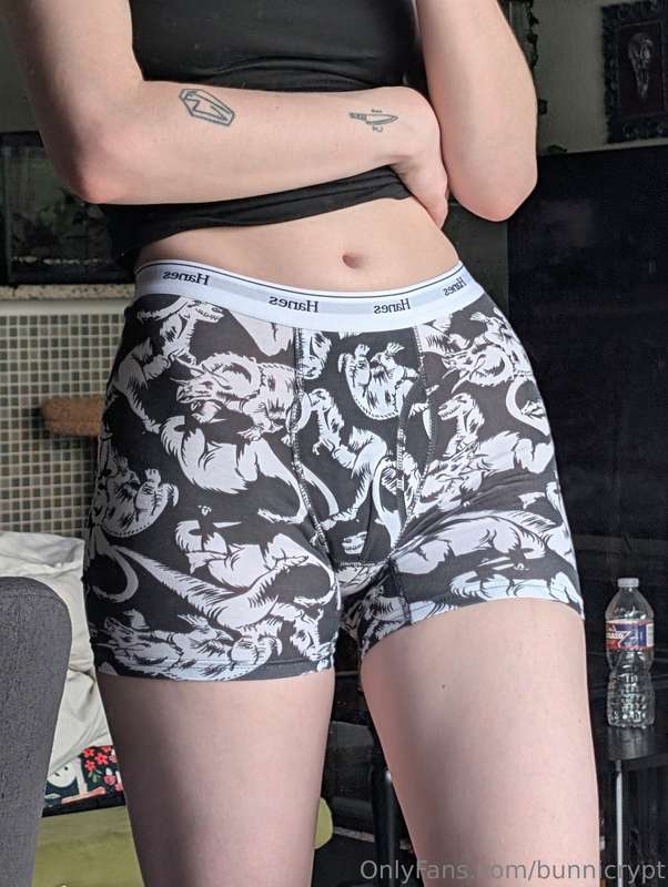 New men's undies pickup because they had dinosaurs on them s..
