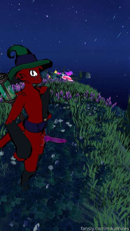mkidrules image #6