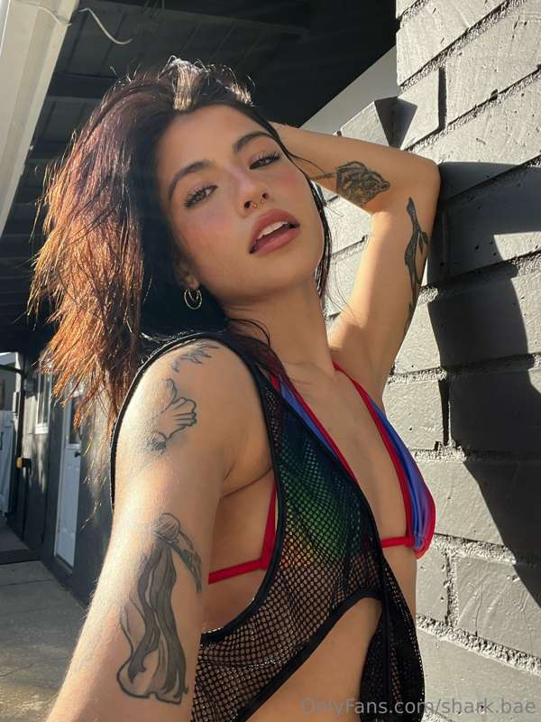 shark.bae photo