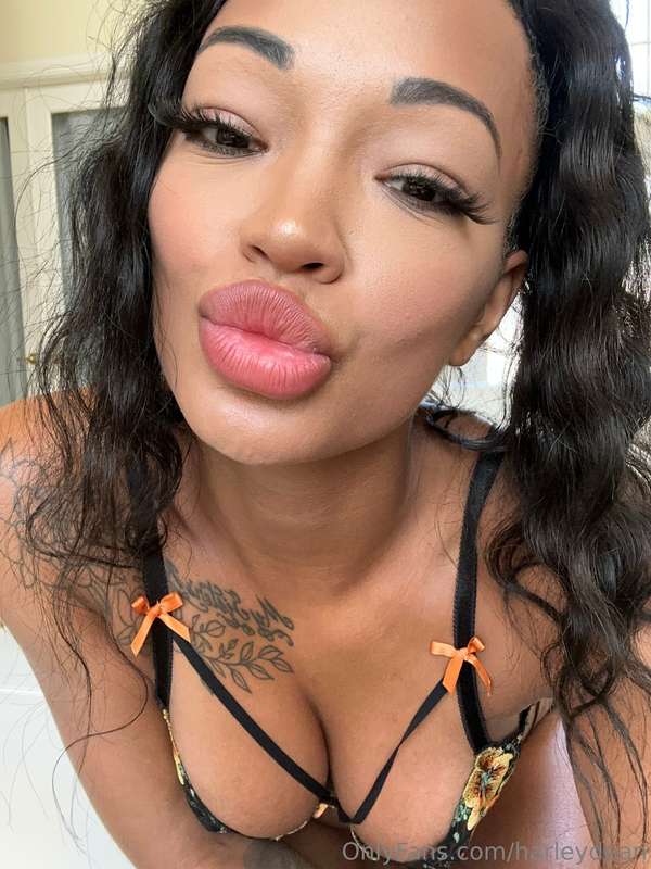 Harley Dean 在 Tocromo 的第 518 張照片