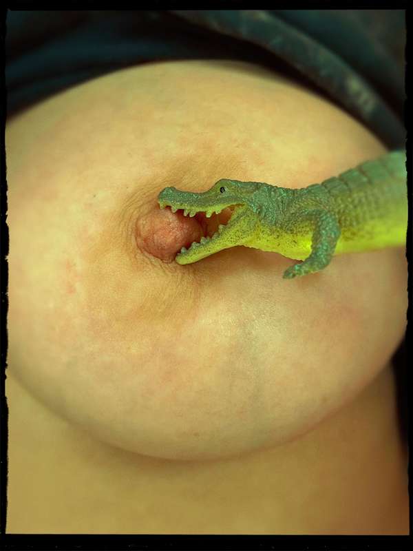 Being weird 🐊