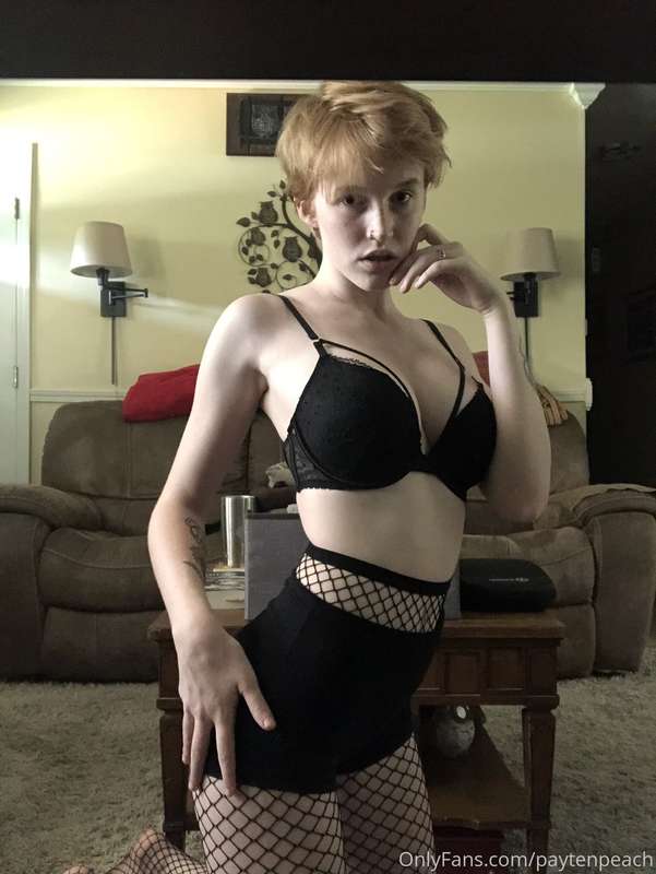 gingerkitty47 image #0