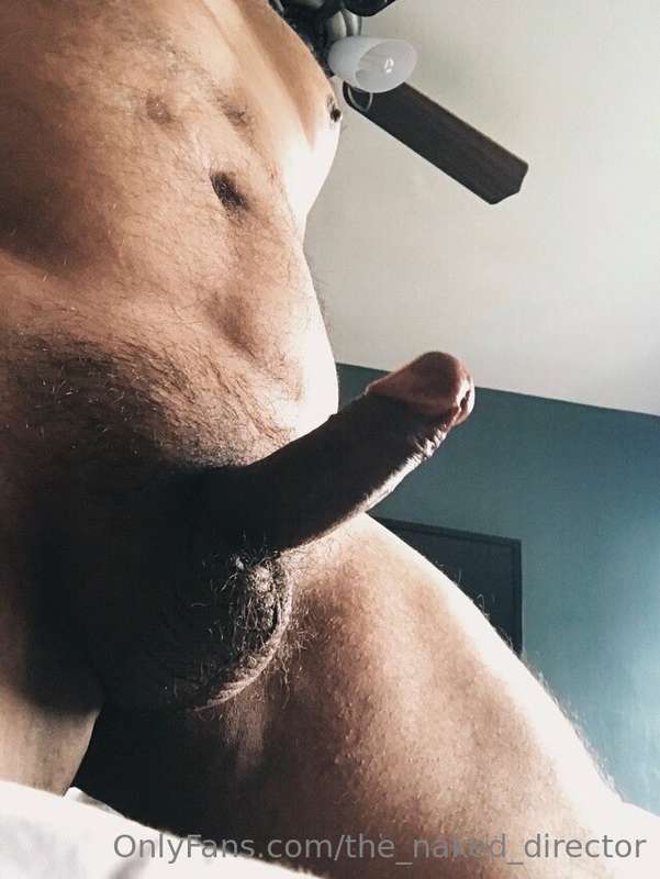 the_naked_director