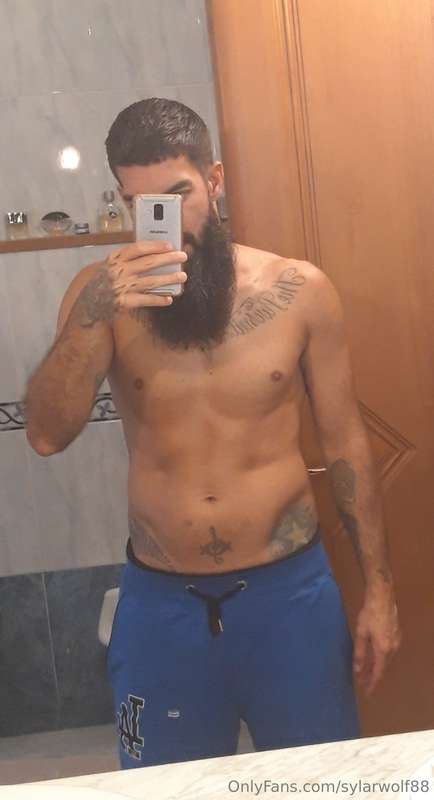 sylarwolf88