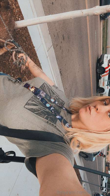 media