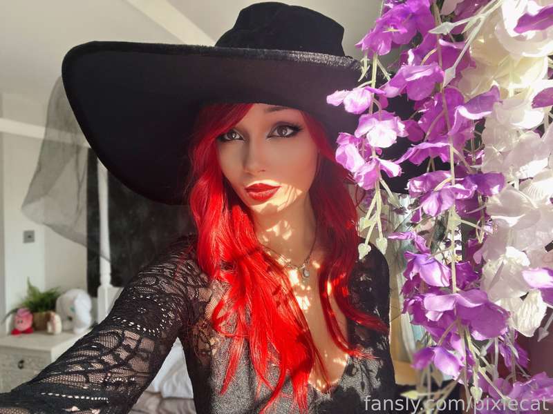 pixiecat image #2