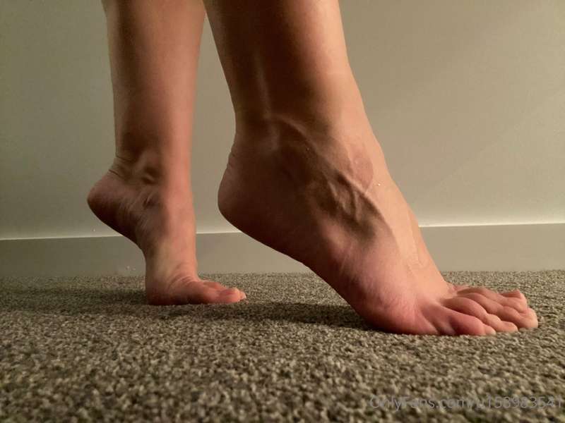 barefootlibran image #0