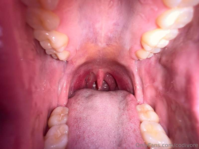 codivore photo