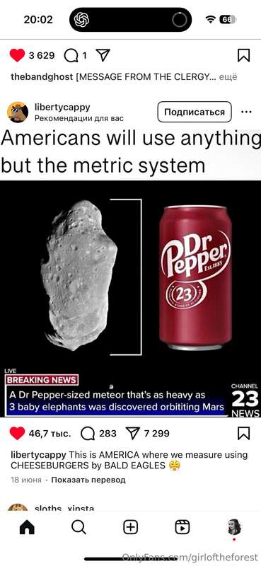 media