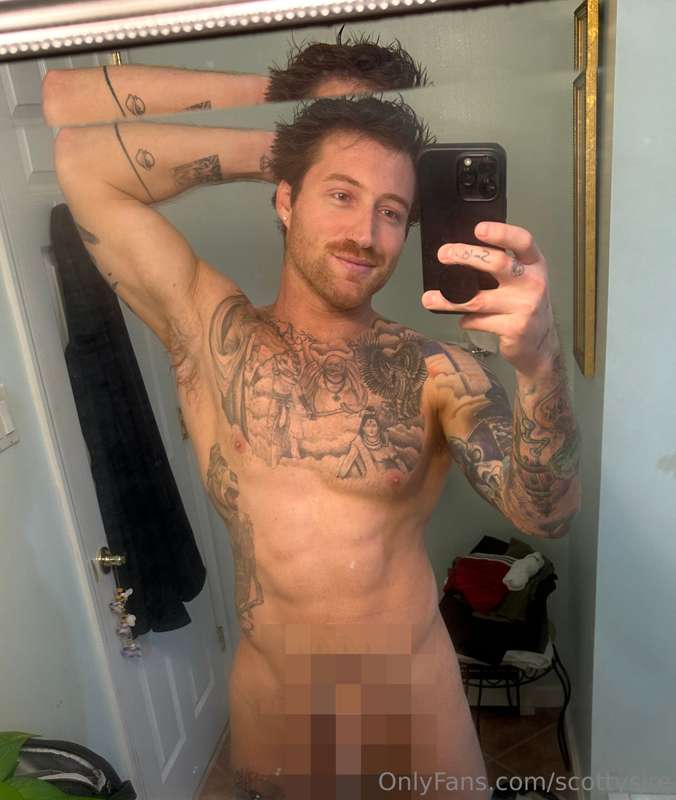 scottysire
