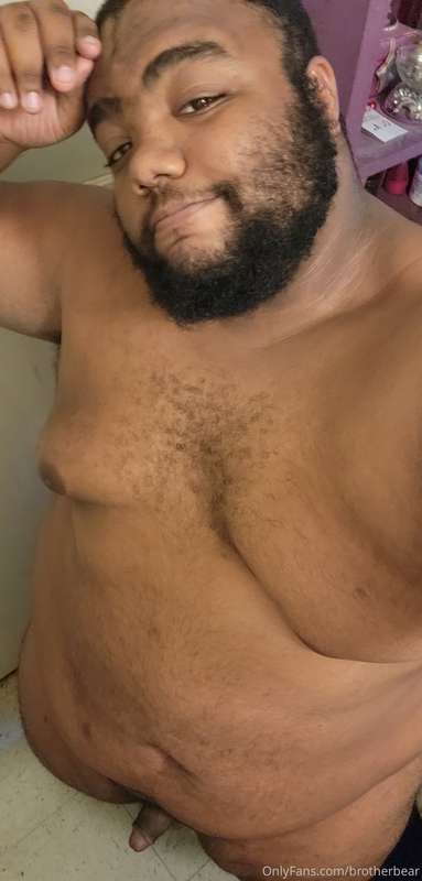 brotherbear image #0