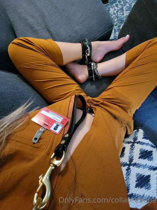 collaredbabe image #0
