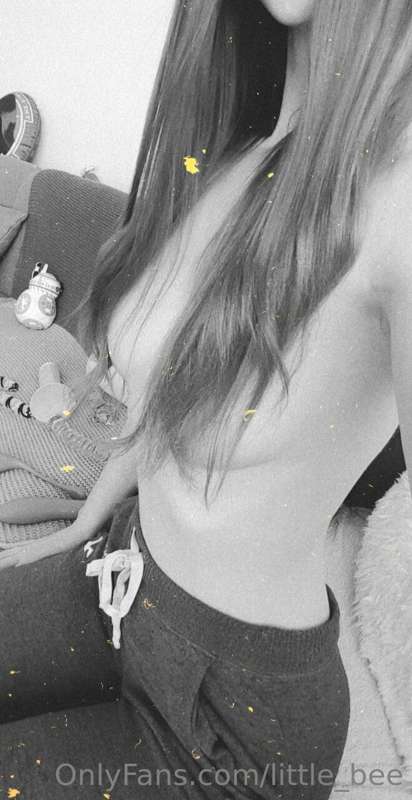 little_bee