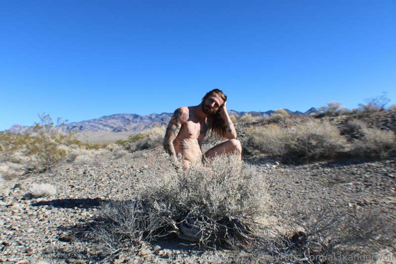 Free as a tumbleweed
