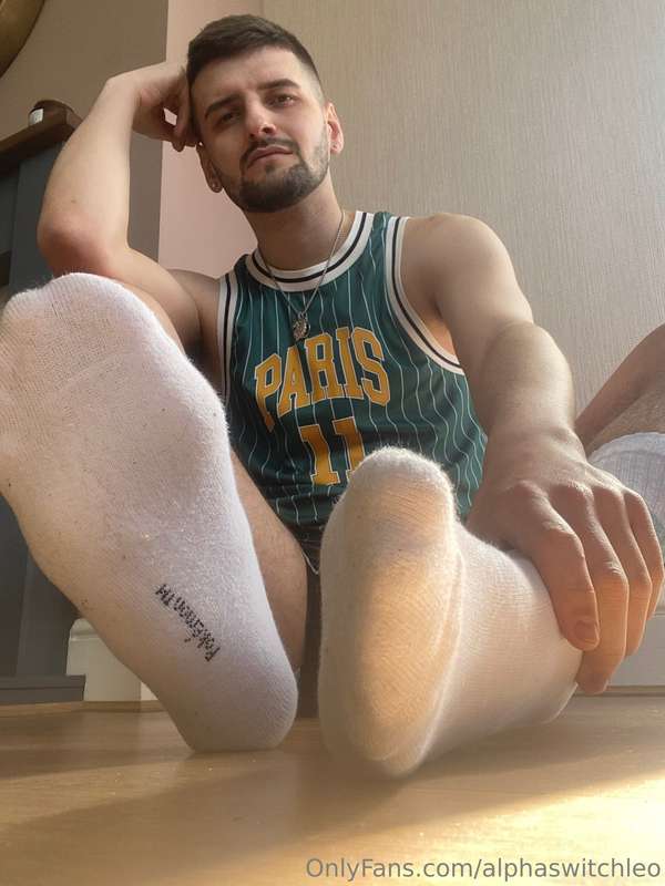 alphaswitchleo