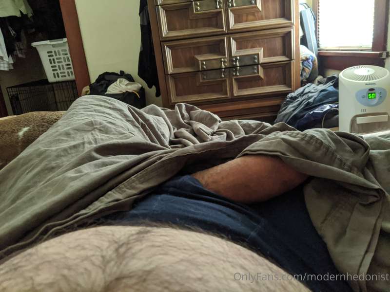 modernhedonist