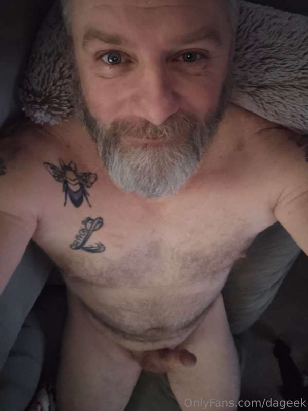 dageek